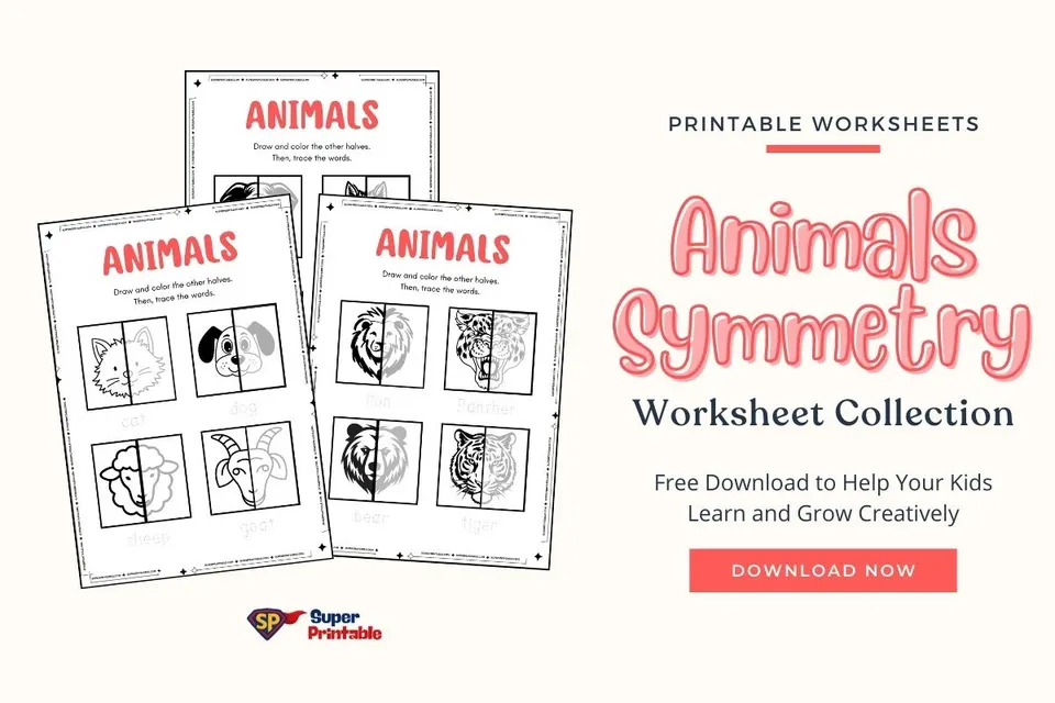 Animals Symmetry Worksheet Feature Image