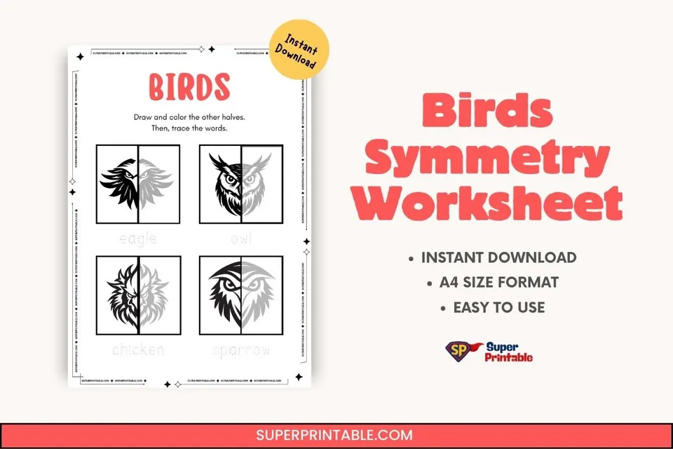 Birds Symmetry Worksheet Feature Image