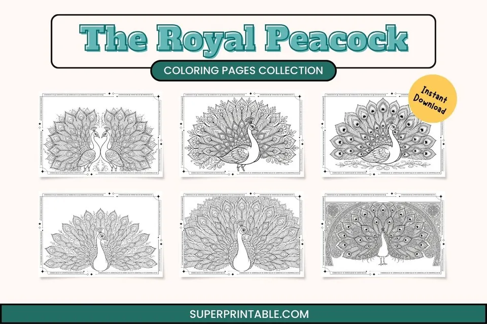 The Royal Peacock Coloring Collection Feature Image