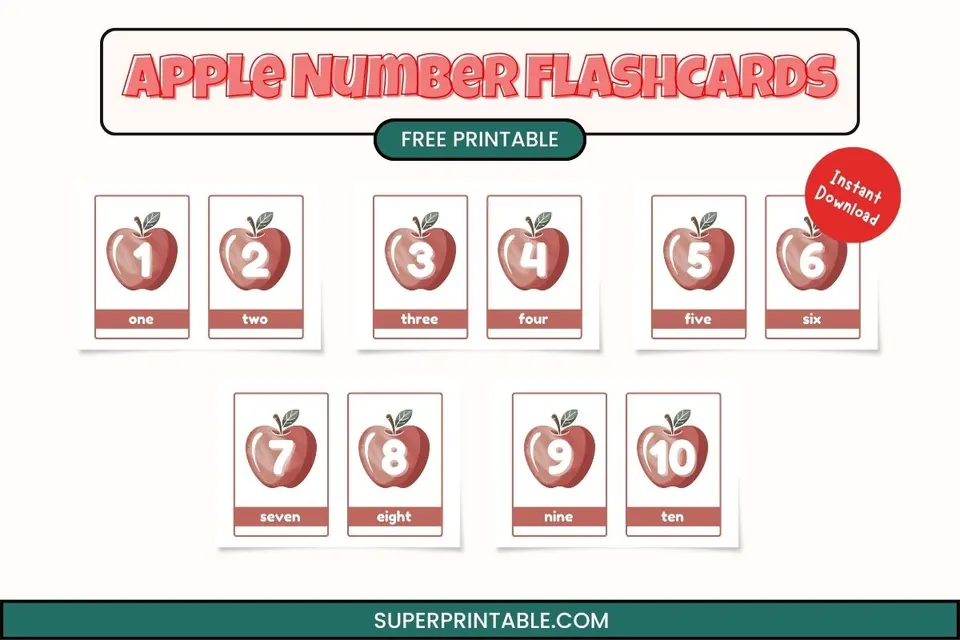 Apple Number Flashcards Feature Image