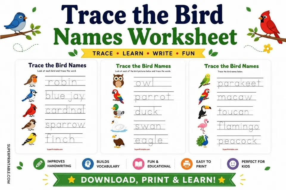 Trace the Bird Names Worksheet 