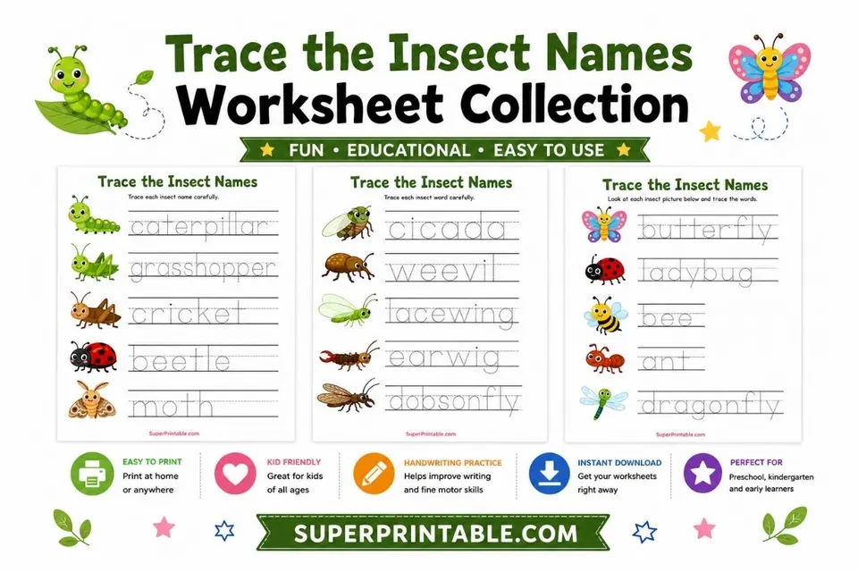 Trace the Insect Names Worksheet Feature Image