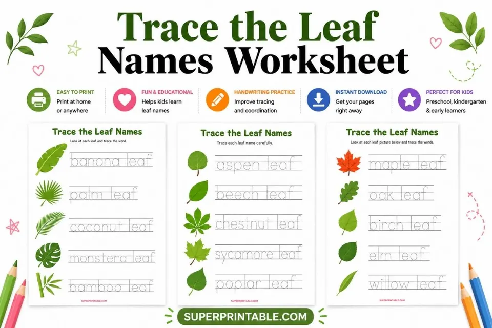Trace the Leaf Names Worksheet Feature Image