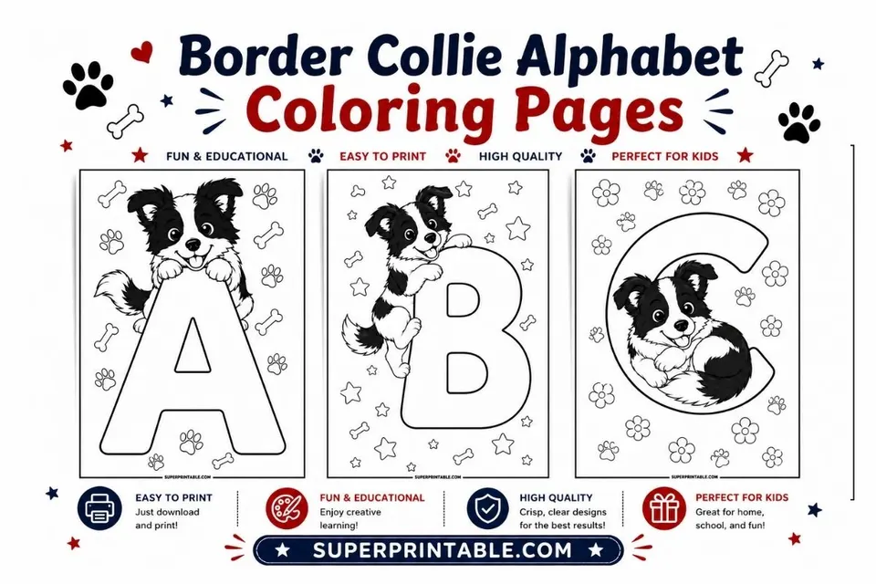 Border Collie Alphabet Coloring Pages Feature Image