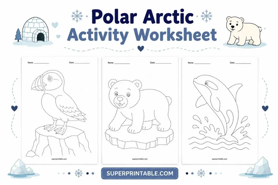Polar Arctic Activity Worksheet Feature Image