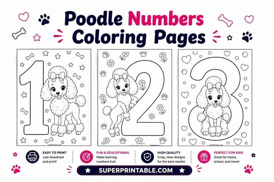 Poodle Numbers Coloring Pages Feature Image