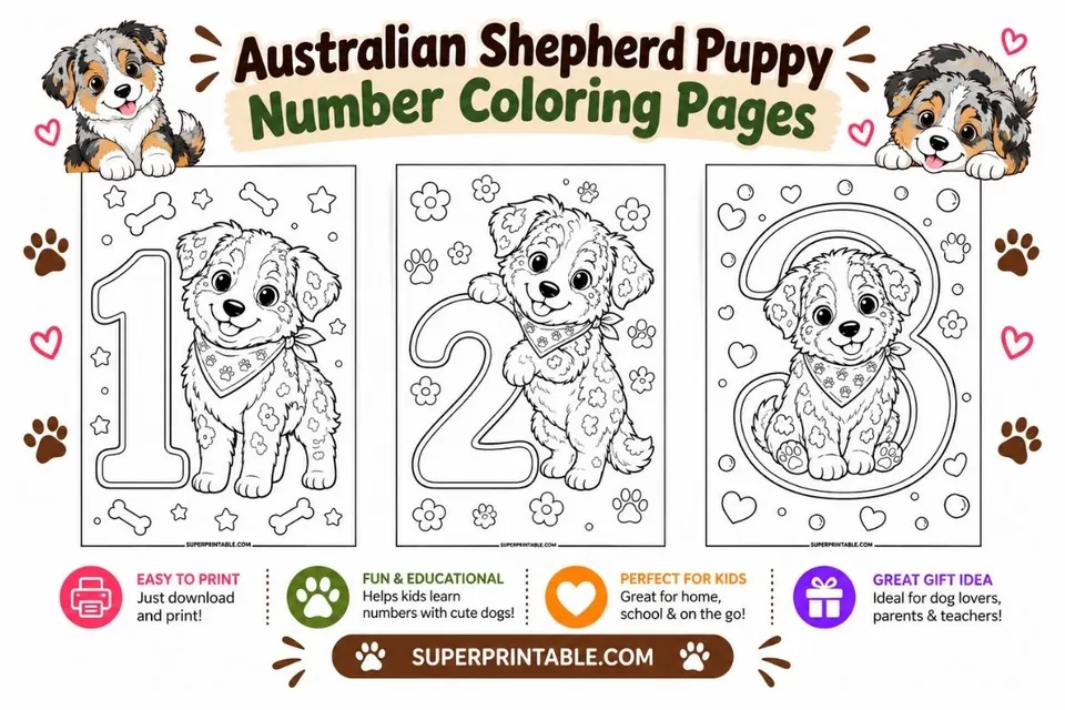Australian Shepherd Puppy Number Coloring Pages Feature Image