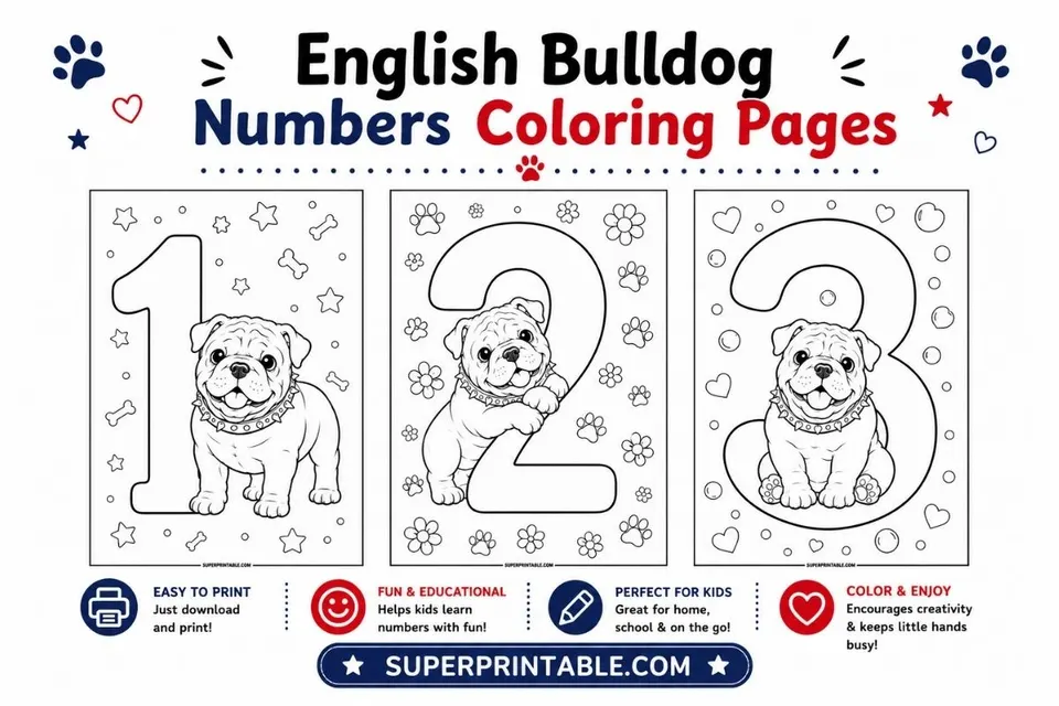 English Bulldog Numbers Coloring Pages Feature Image