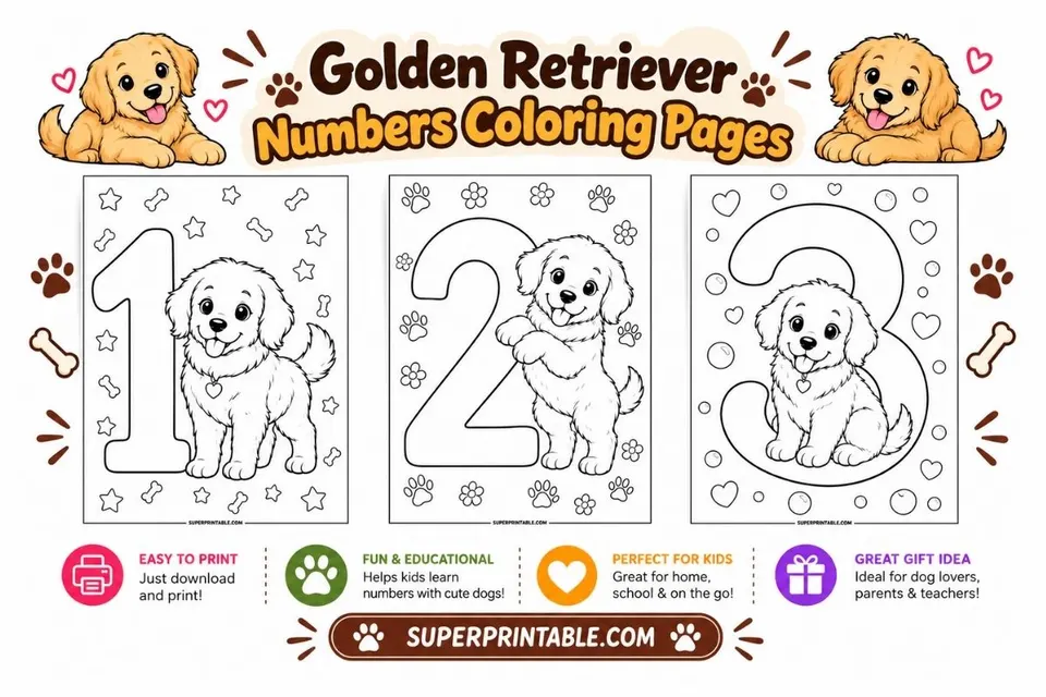 Golden Retriever Numbers Coloring Pages Feature Image
